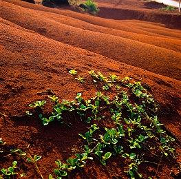 《 小黄鸭模拟器 》Steam发售 啥也不干飘着享受鸭生